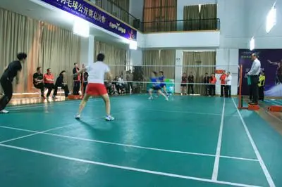 葡萄牙前锋保利尼奥：C罗改变了葡萄牙足球；我想踢世界杯